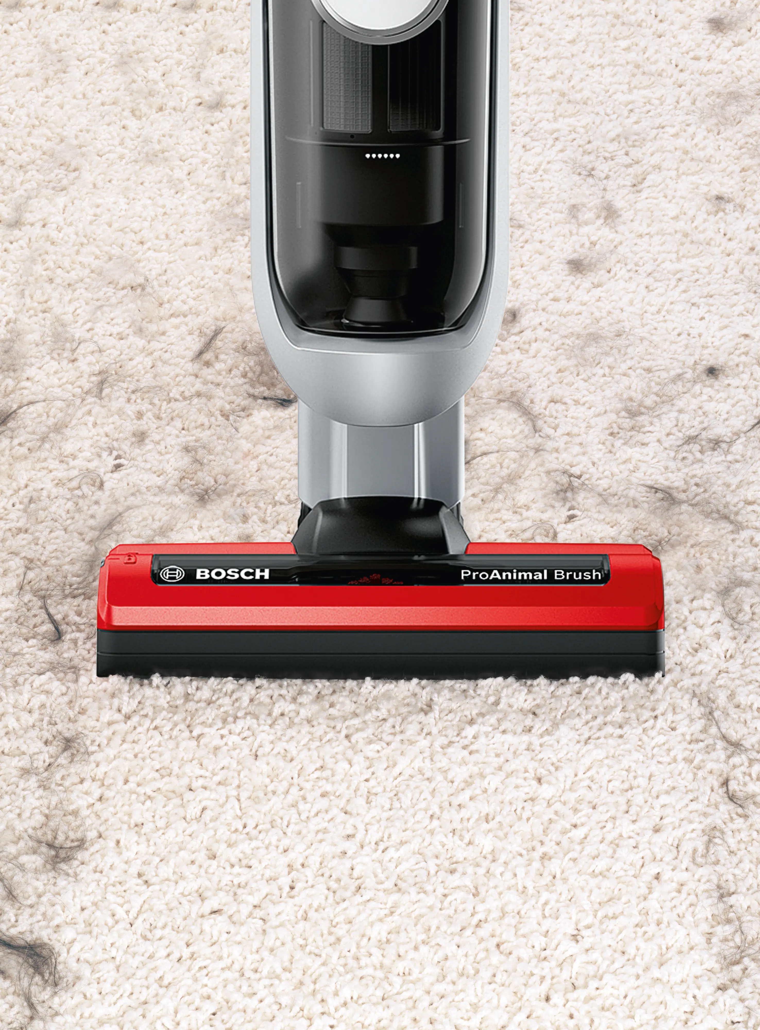 תמונה Nr. 11 של המוצר BBH6PZOO