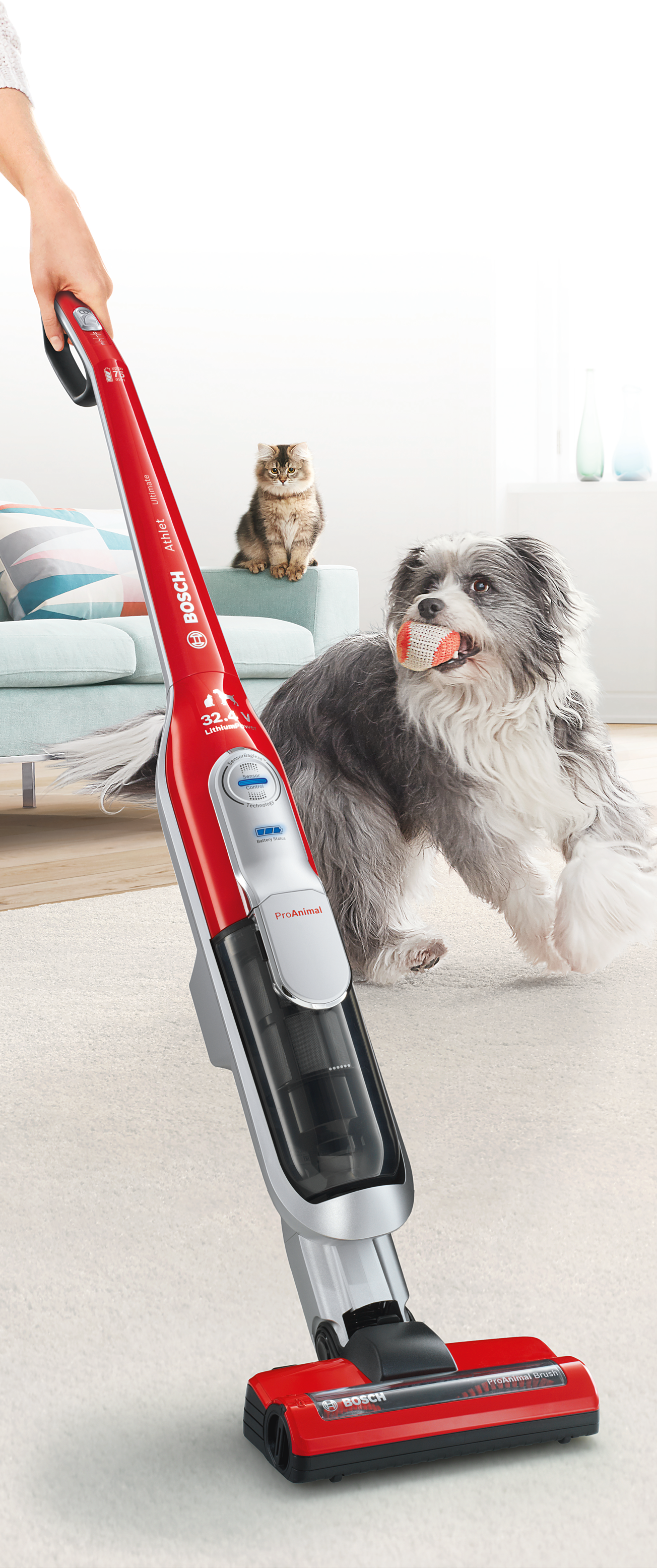 BCH7PETGB Rechargeable vacuum cleaner BOSCH IE