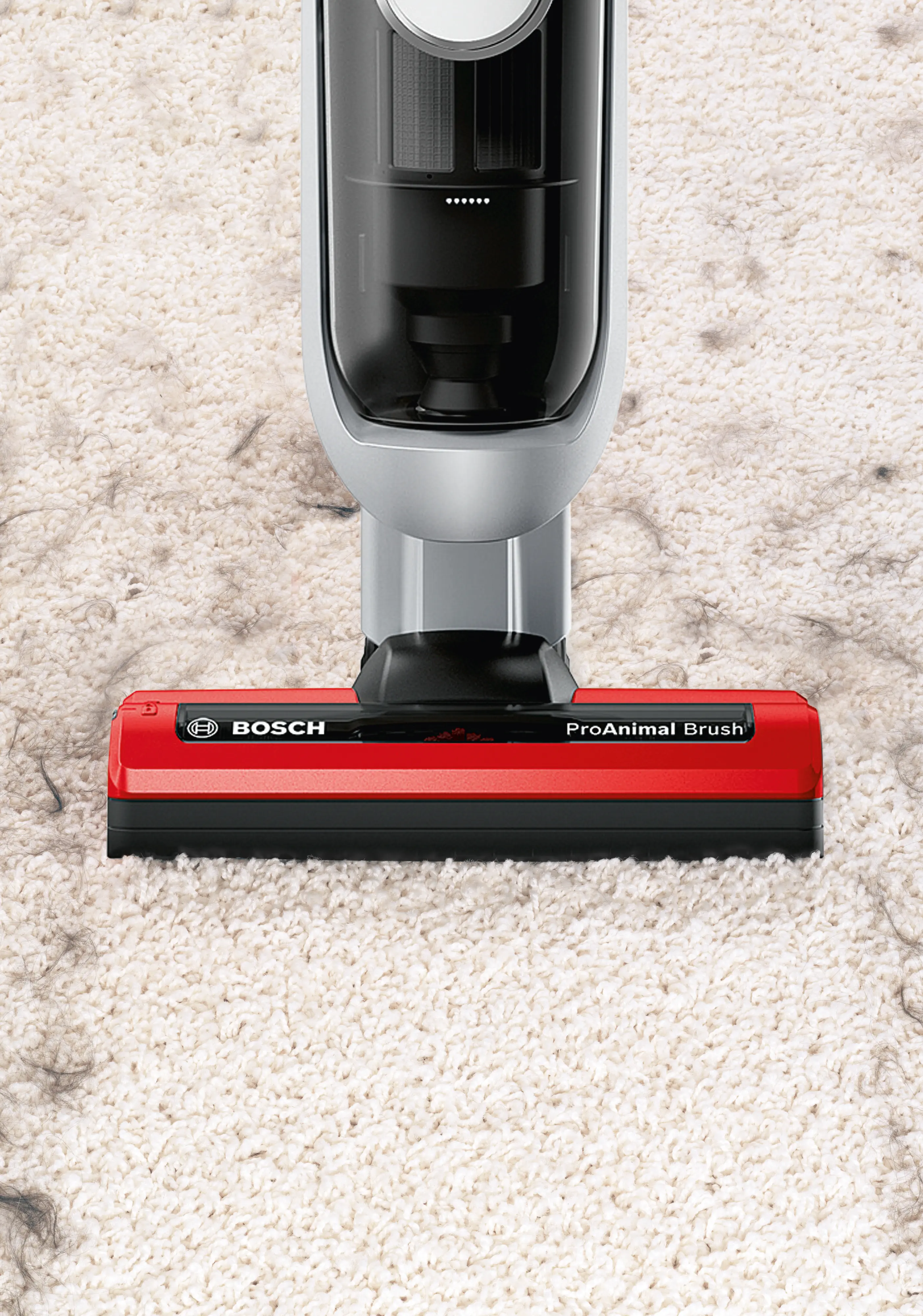 圖片編號 4 BCH73PETTW