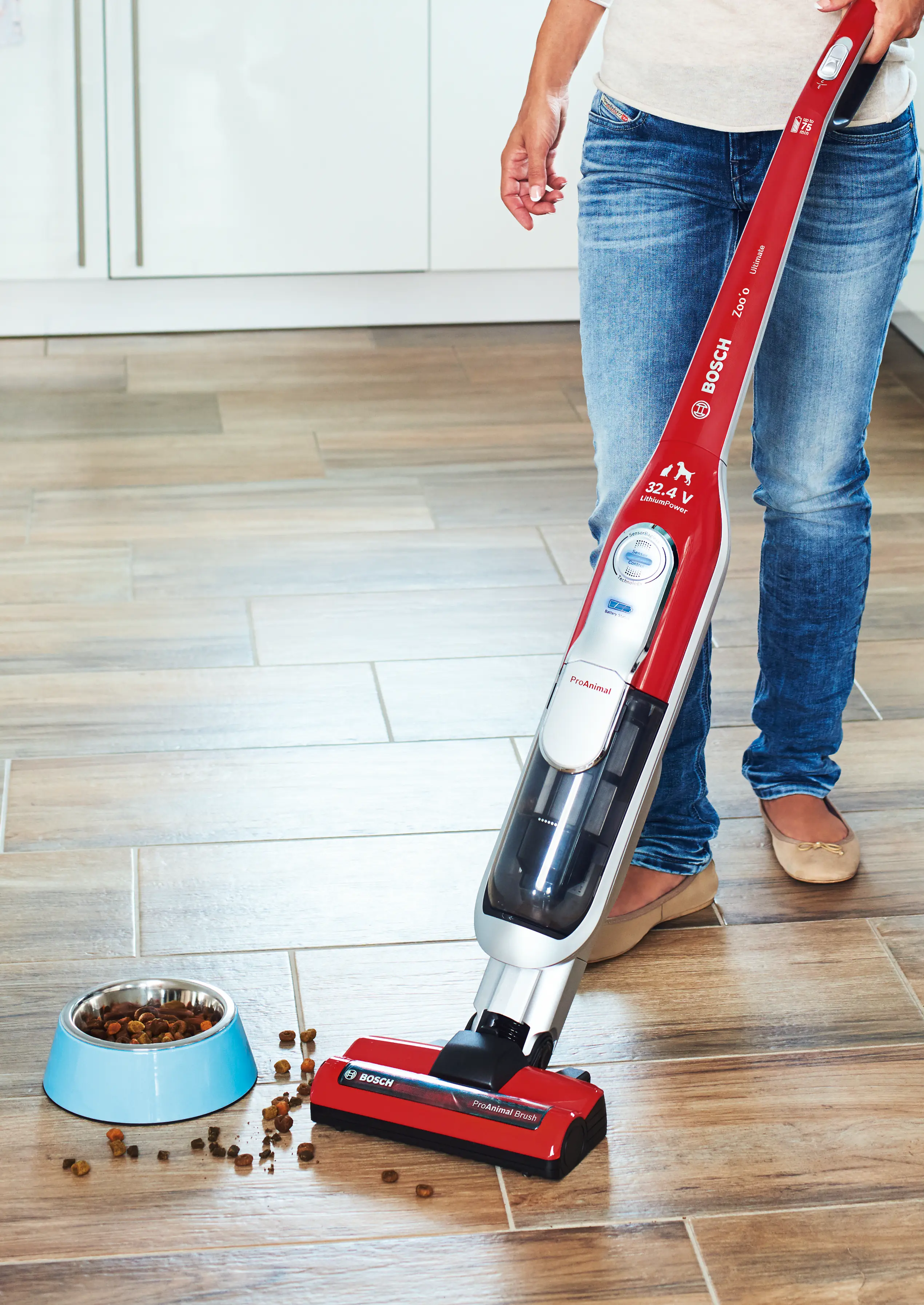 圖片編號 6 BCH73PETTW