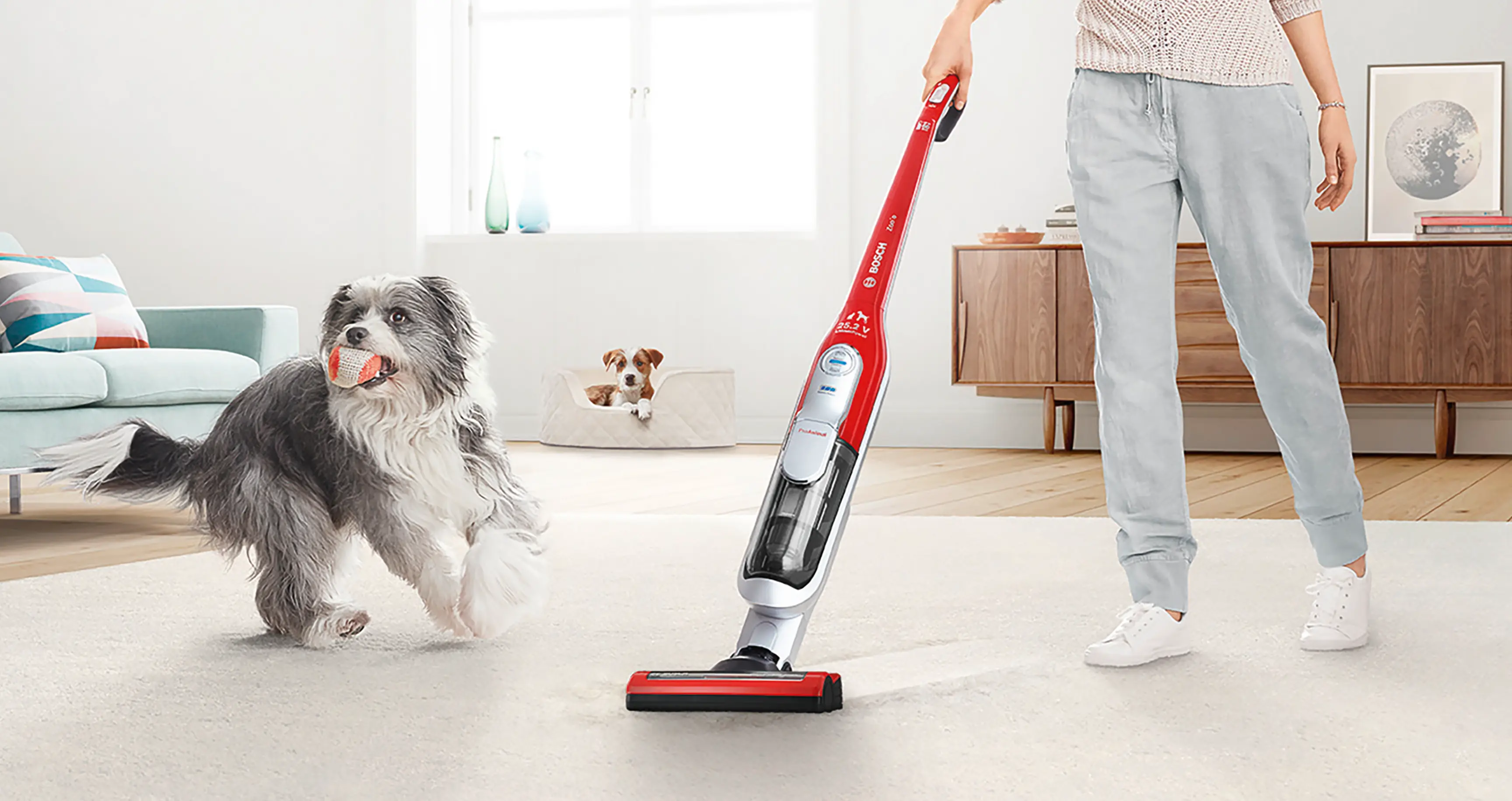 圖片編號 9 BCH73PETTW