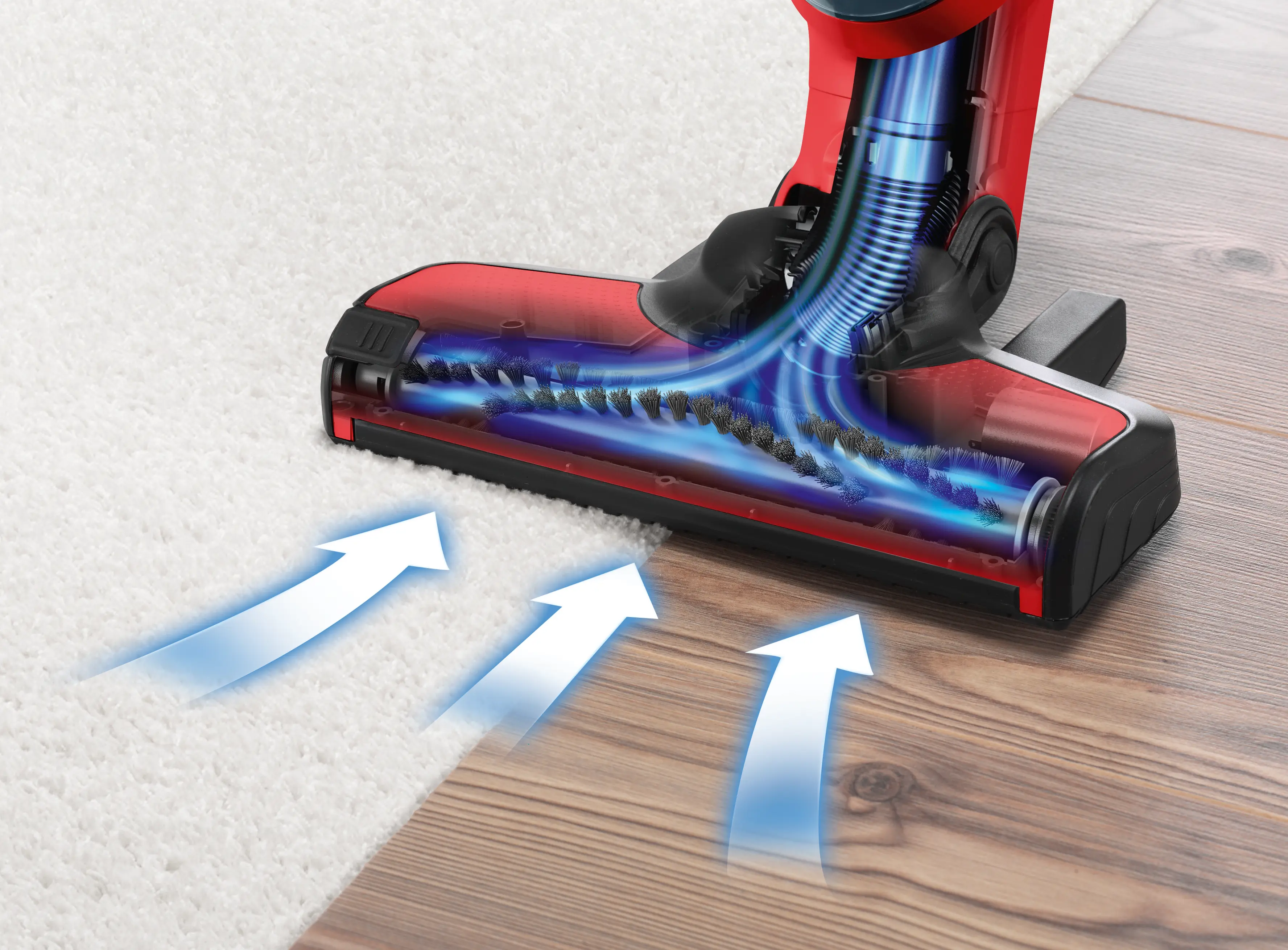 Bild Nr. 4 des Produkts BBH3ZOO25