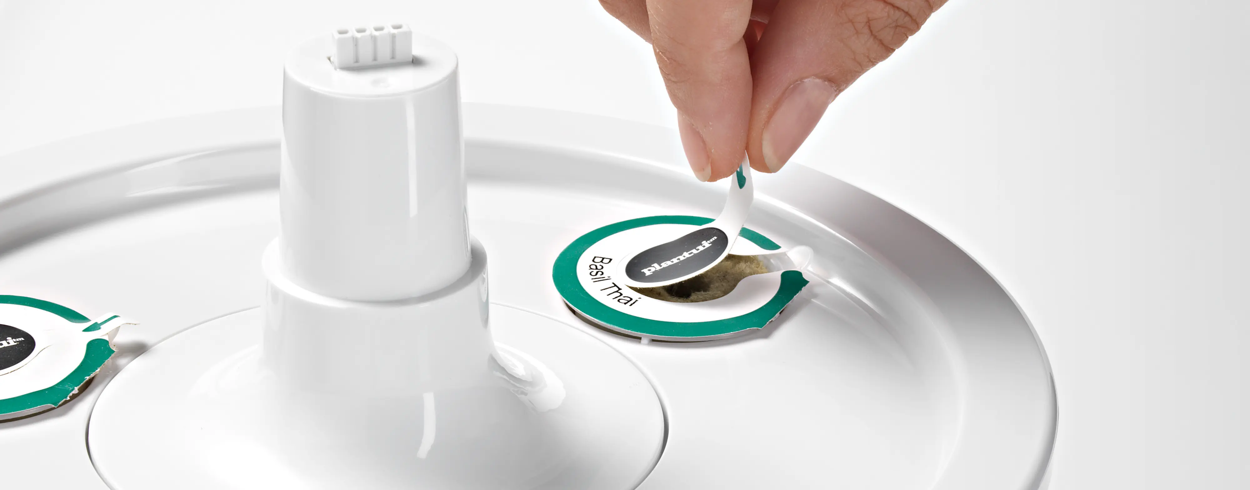 Foto n.º 9 del producto MSGP3