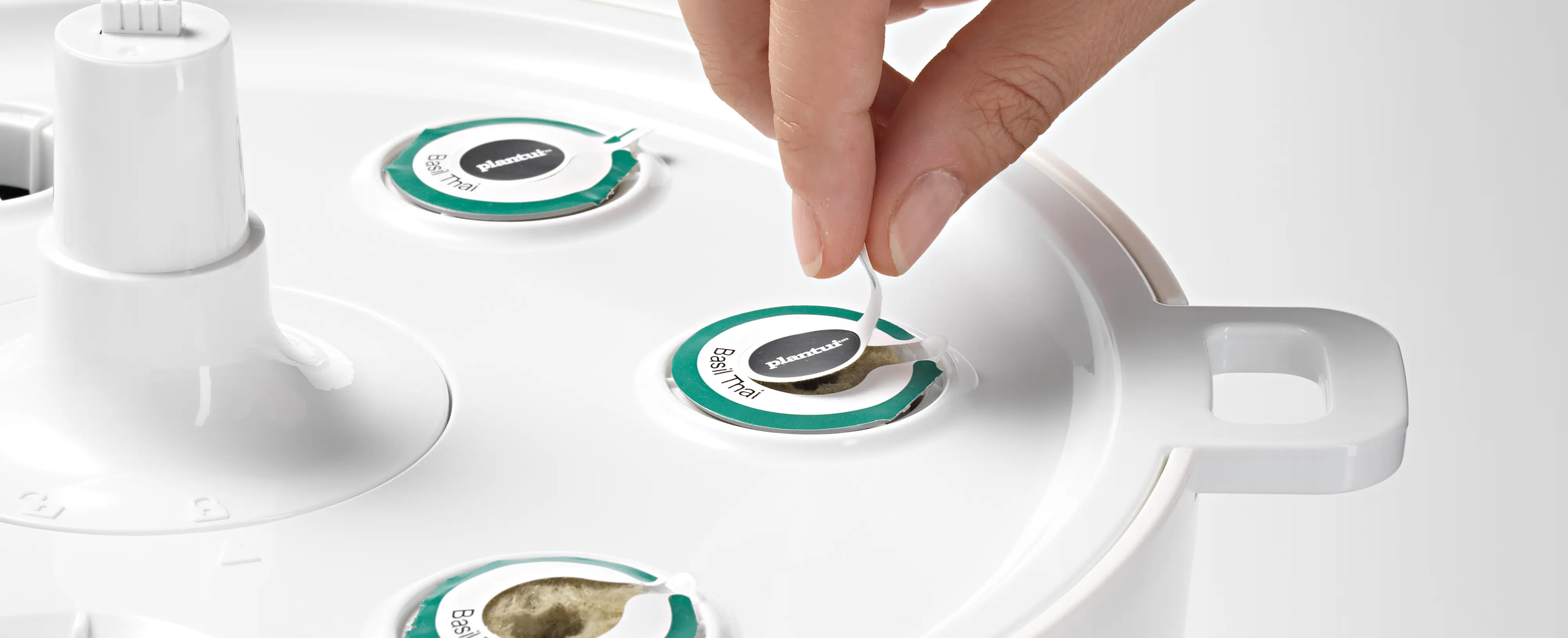 Foto n.º 9 del producto MSGP6