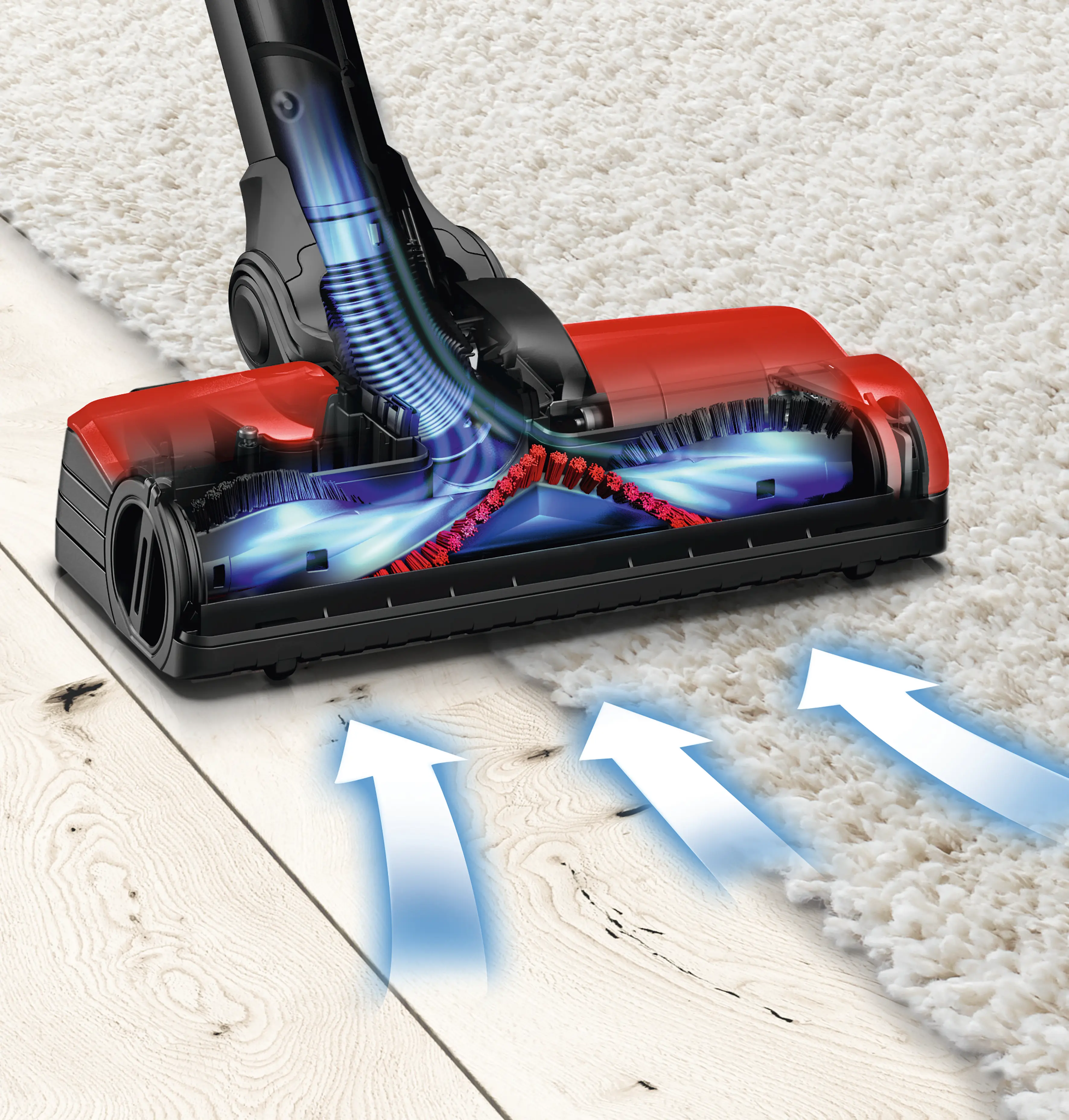 Photo n° 5 du produit BBS1ZOO