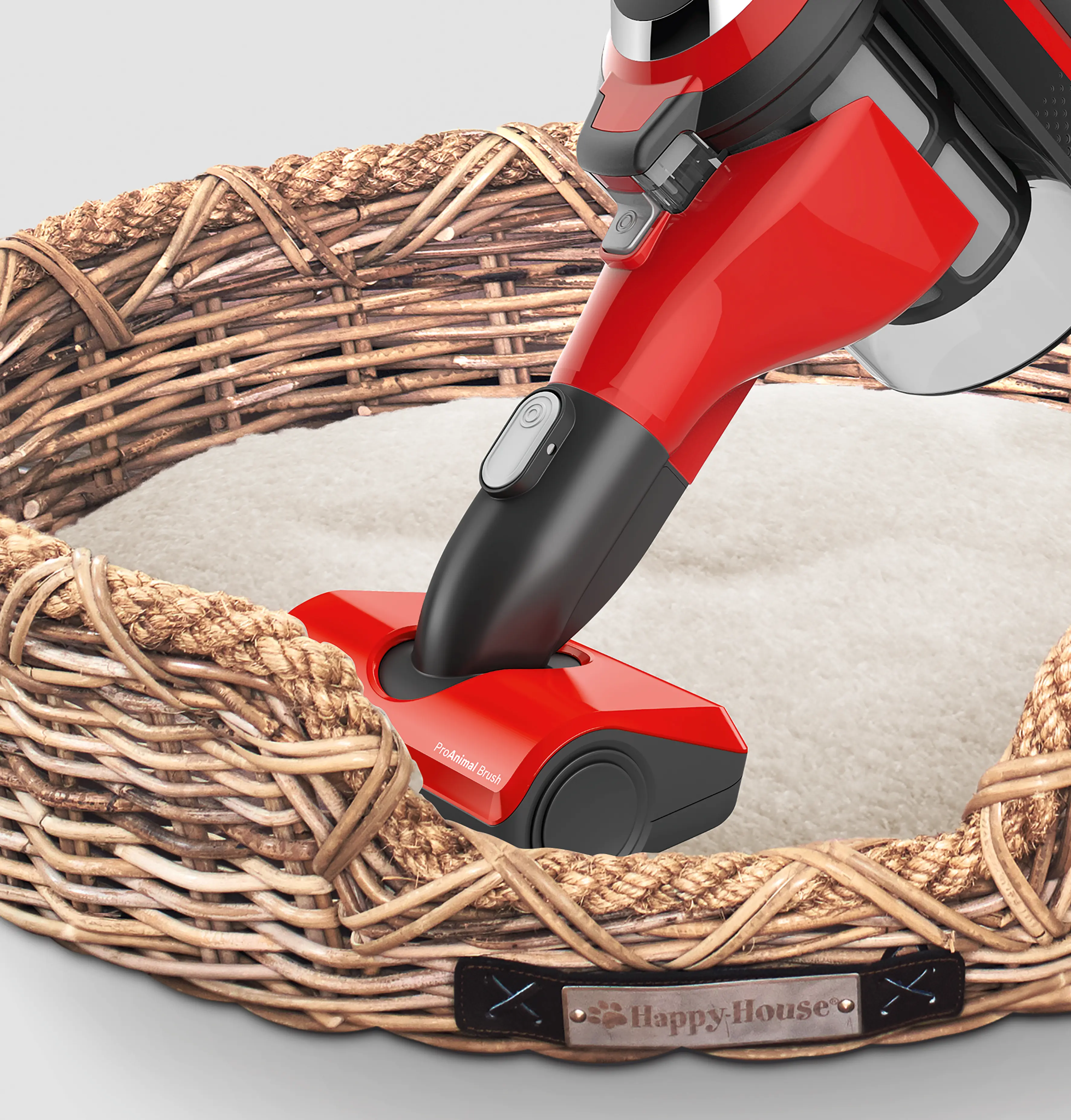 Photo n° 12 du produit BBS1ZOO