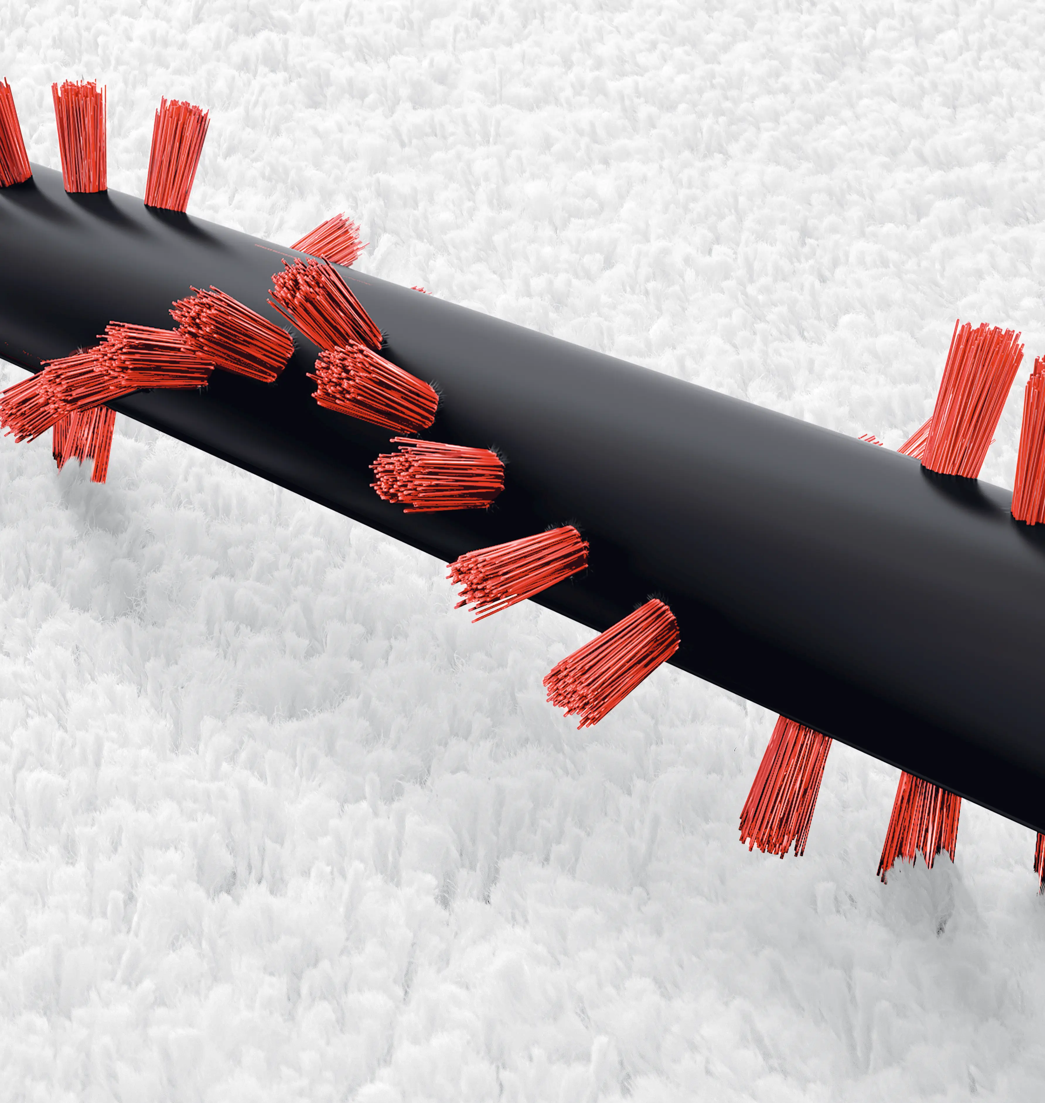 Photo n° 3 du produit BBS1ZOO