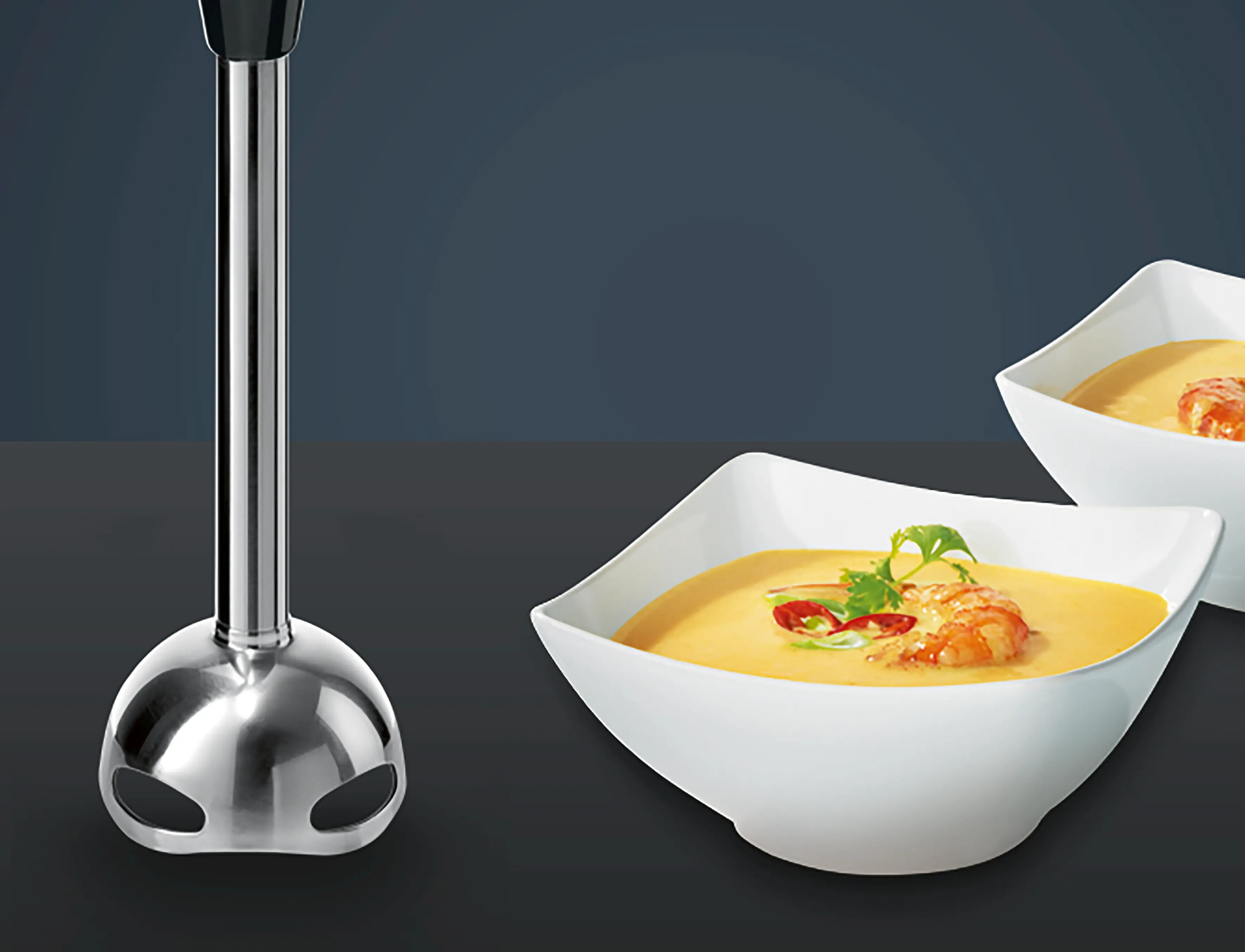 MQ67170 Hand blender | Siemens Ev Aletleri