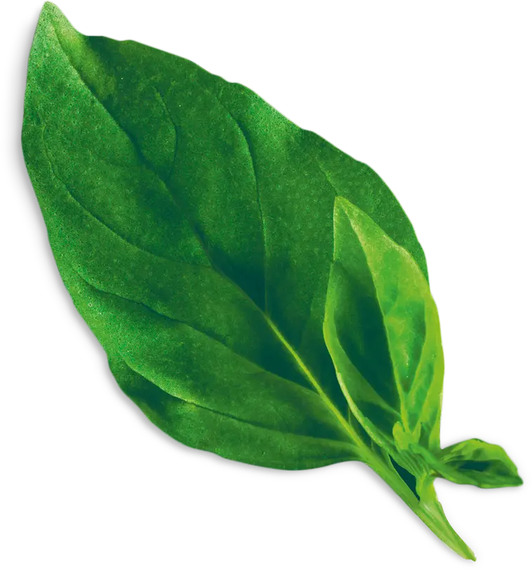 Foto Nº. 2 do produto