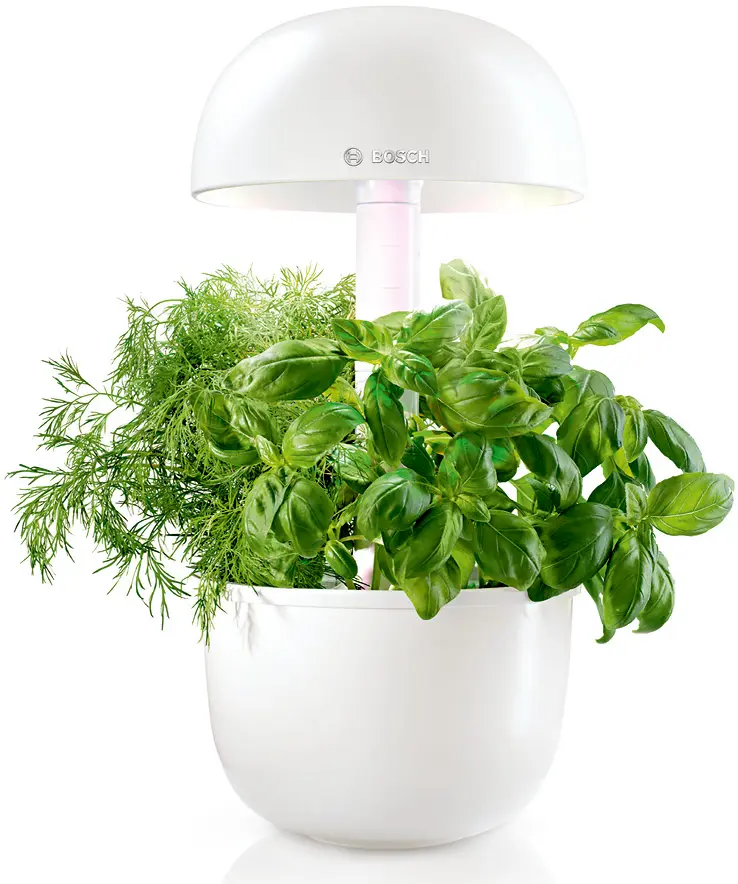 Foto n.º 3 del producto MSGP3