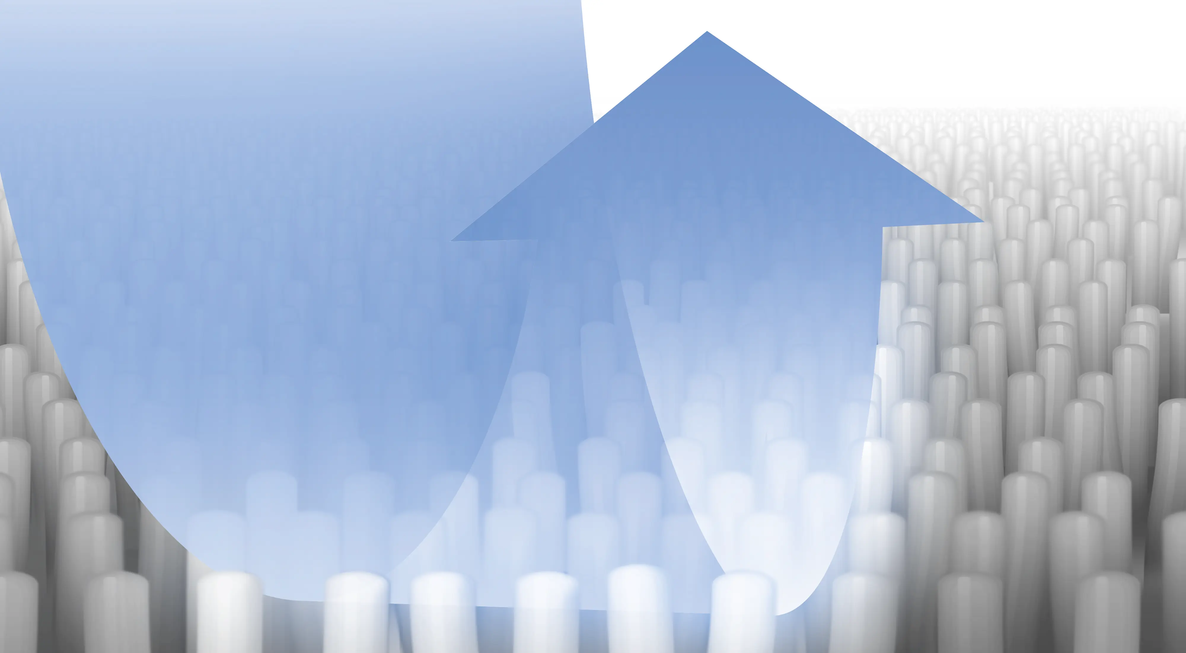 Zdjęcie produktu nr 3 BBZWDSET