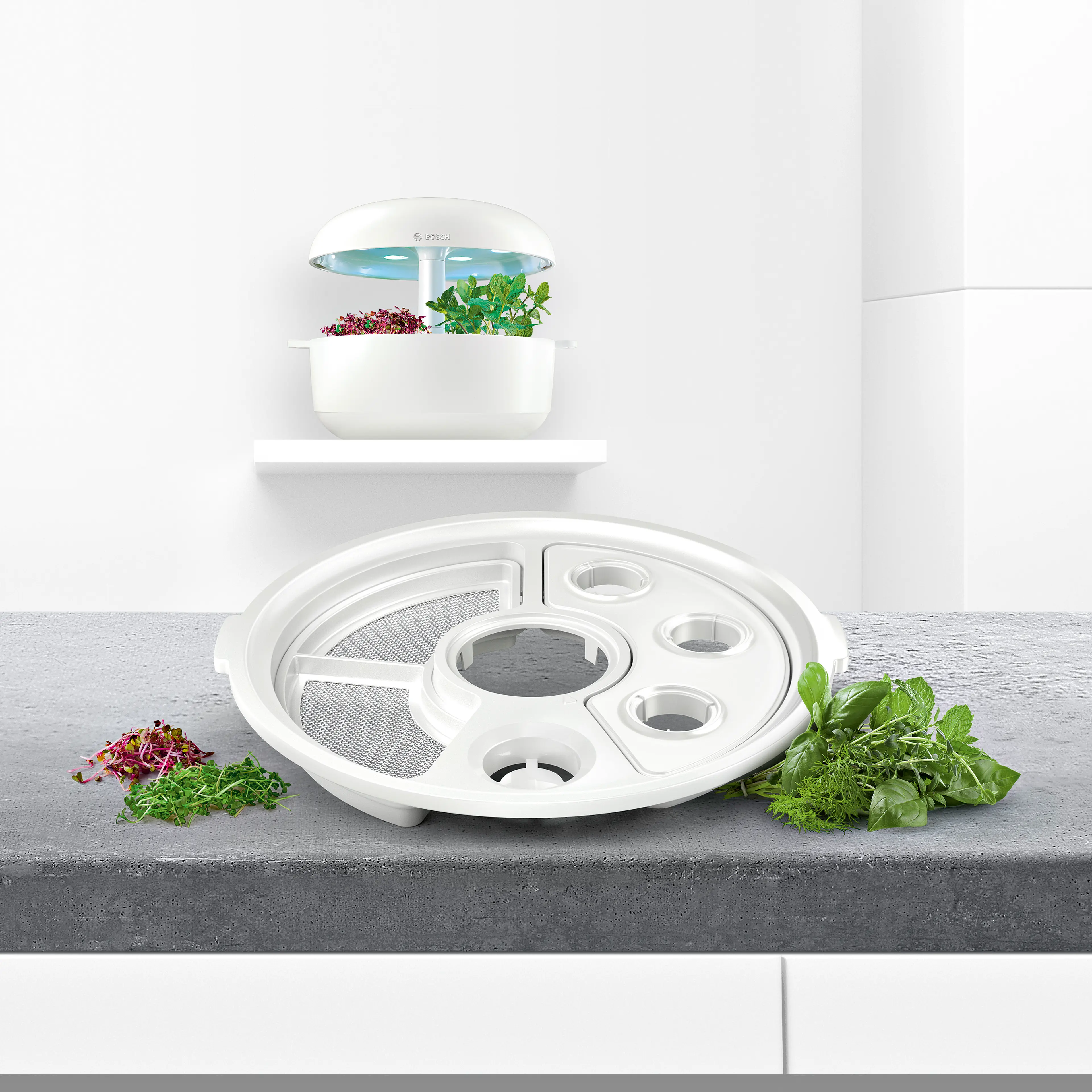 Foto-Vorschau Nr. 4 des Produkts