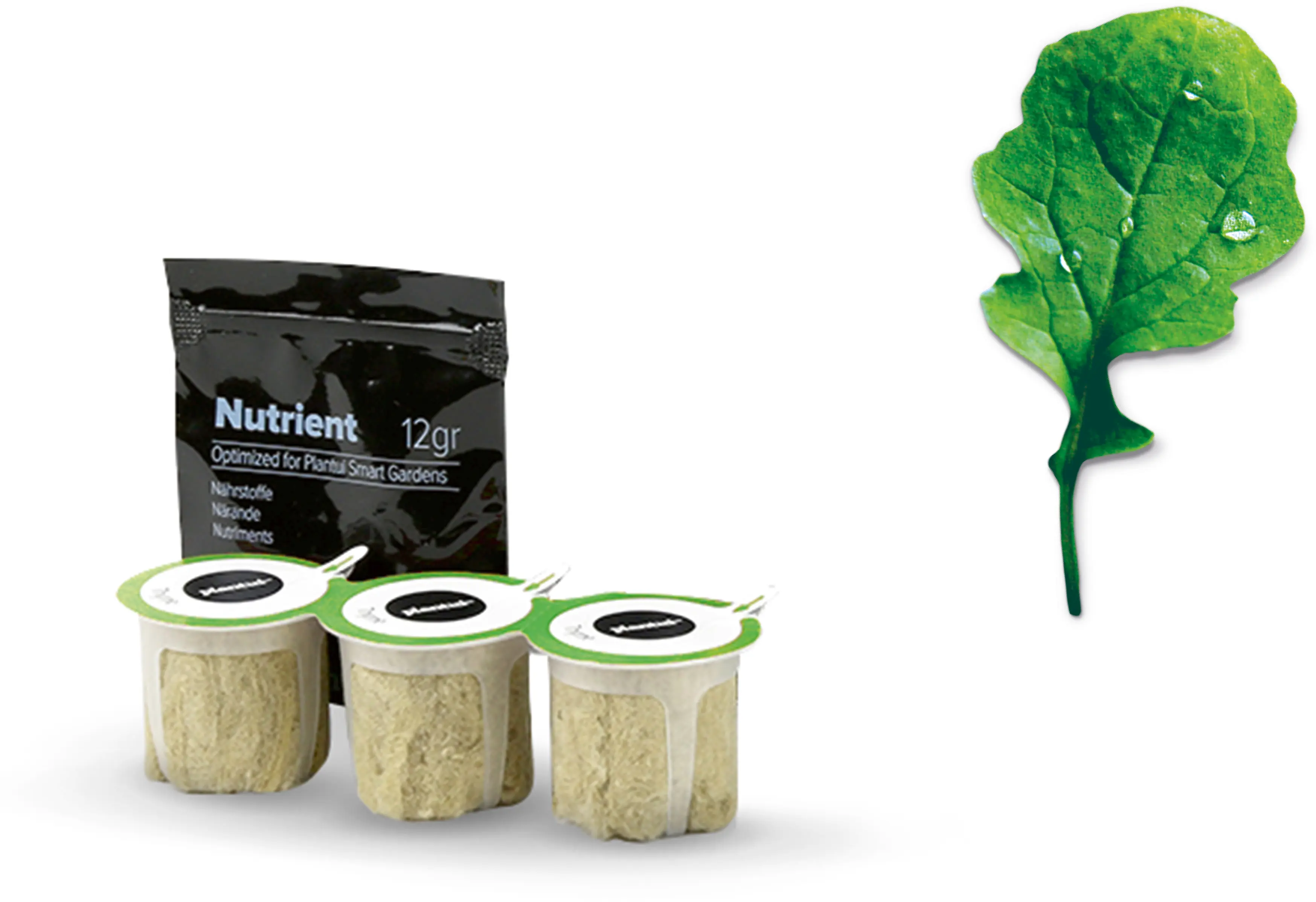 Foto n.º 1 del producto MSGZS009