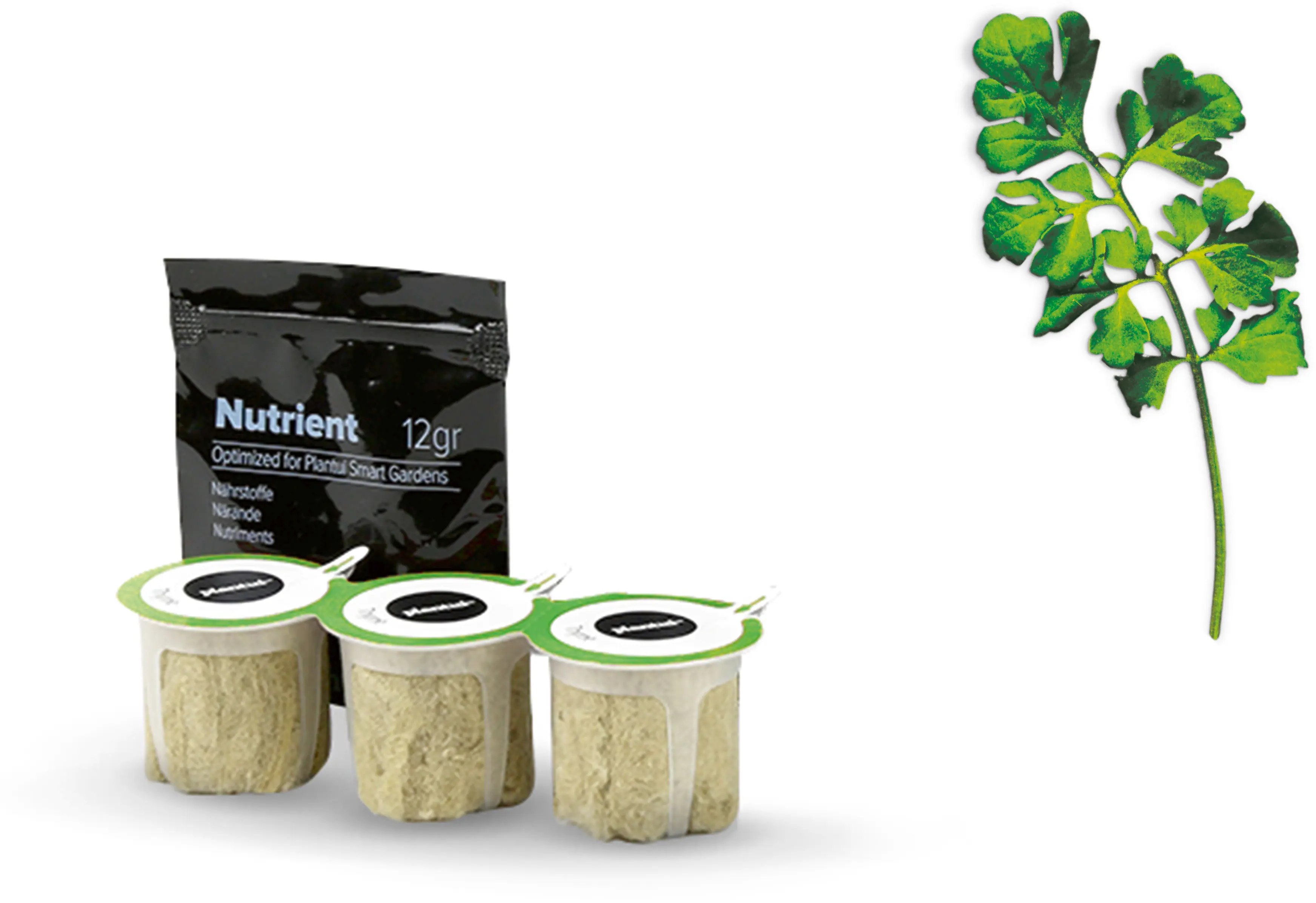 Foto n.º 1 del producto MSGZS010