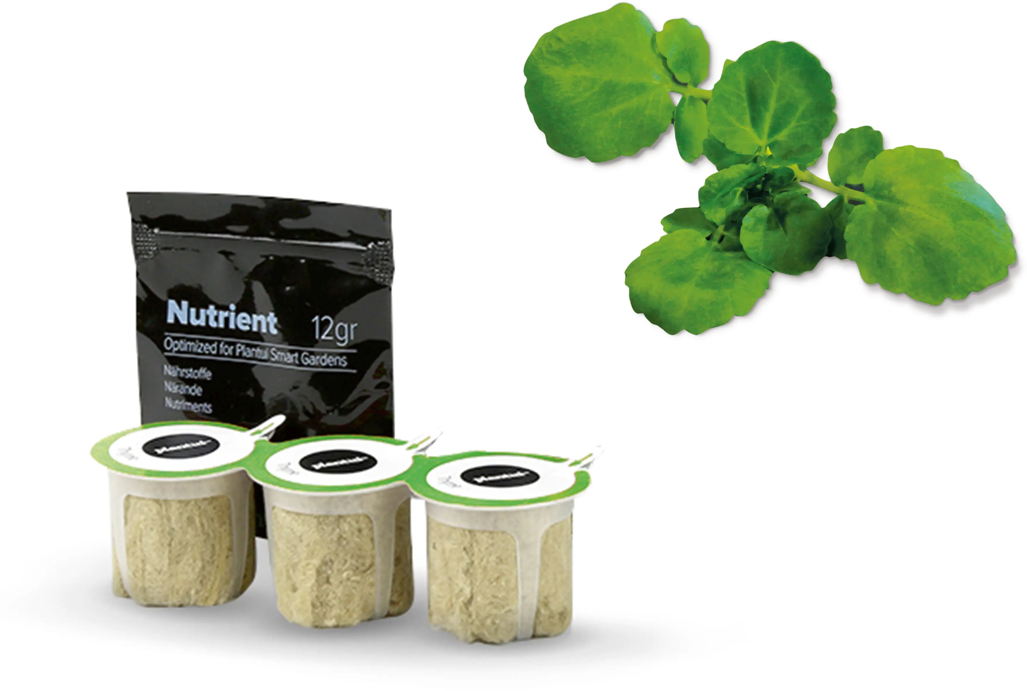 Foto n.º 1 del producto MSGZS018