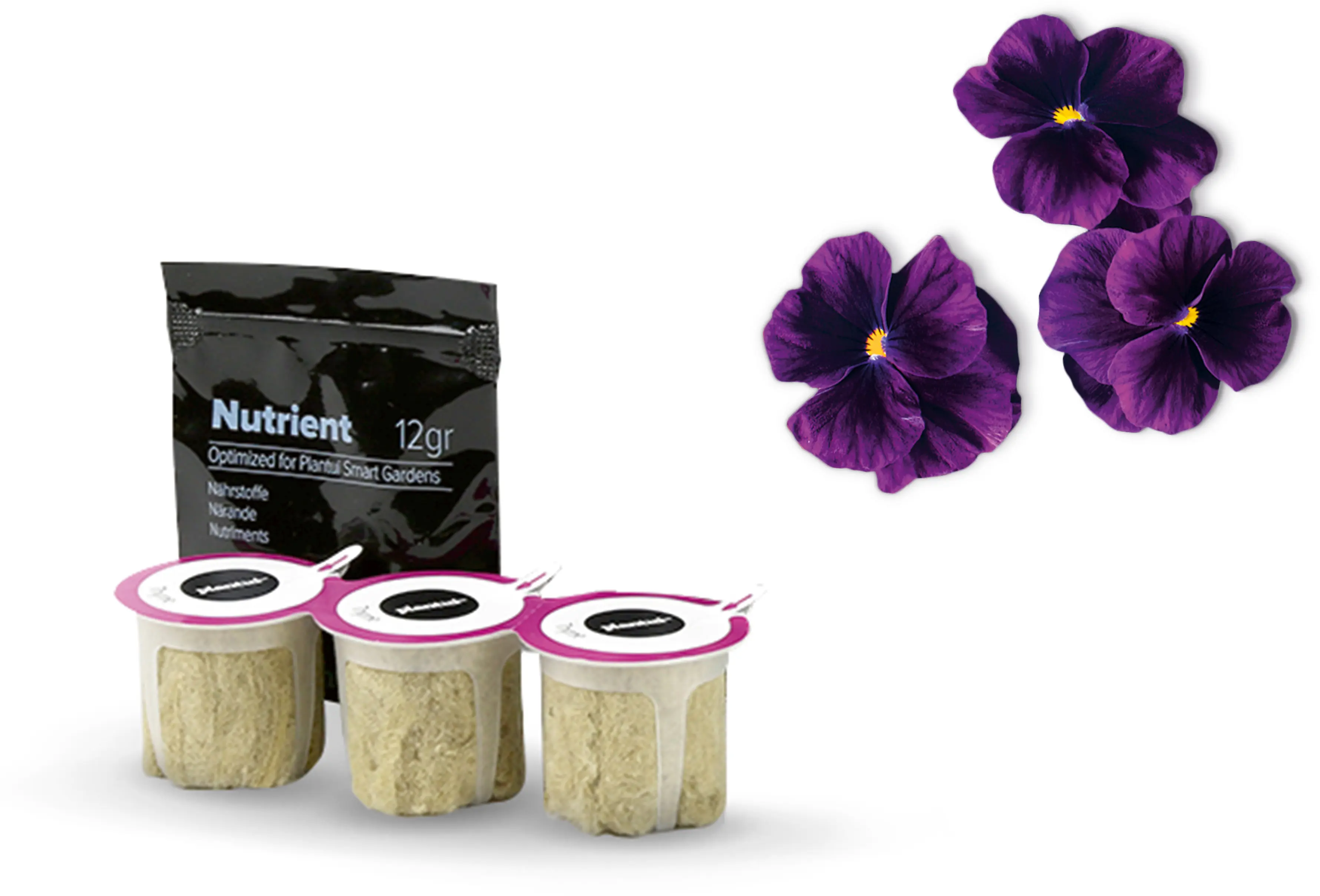 Foto n.º 1 del producto MSGZF002