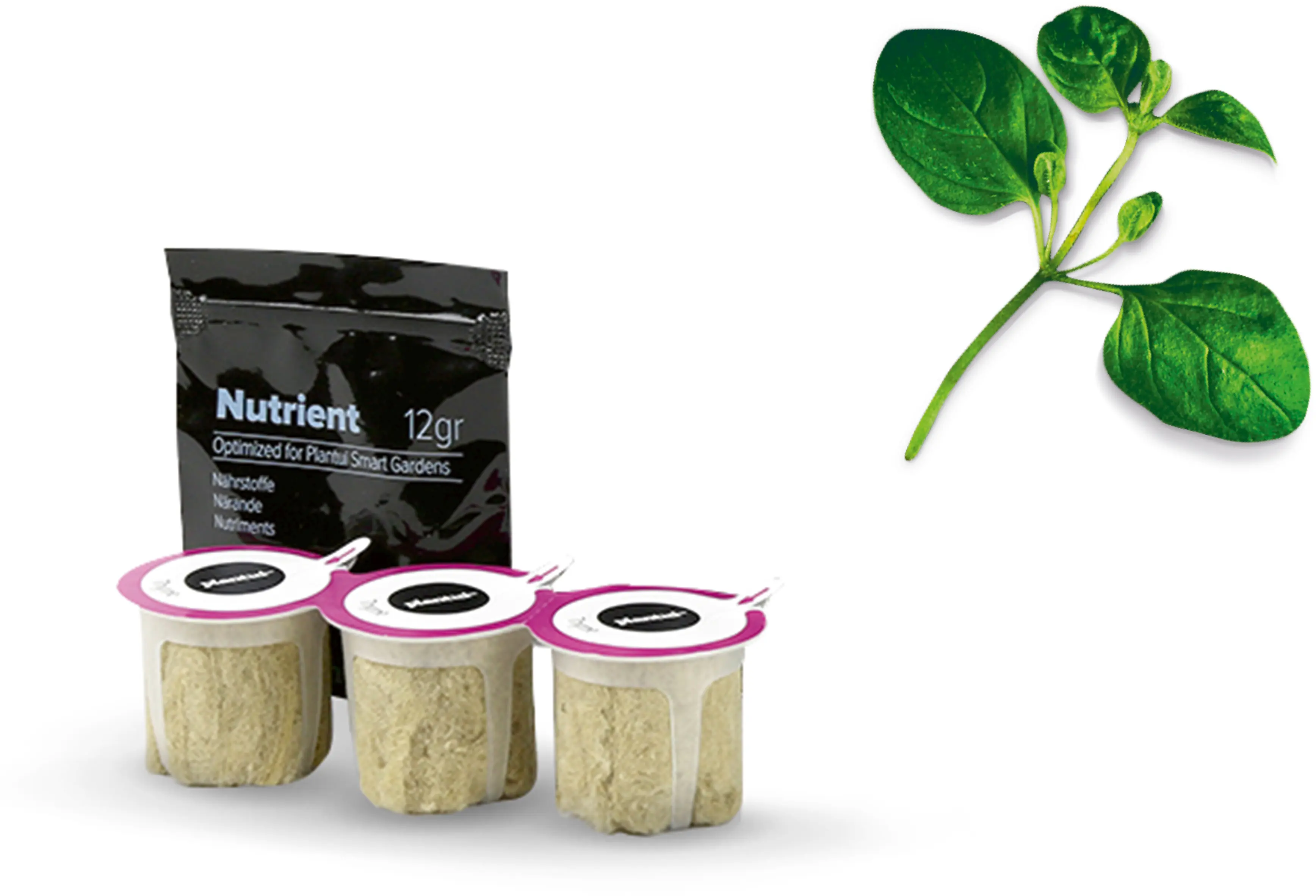 Foto n.º 1 del producto MSGZH012