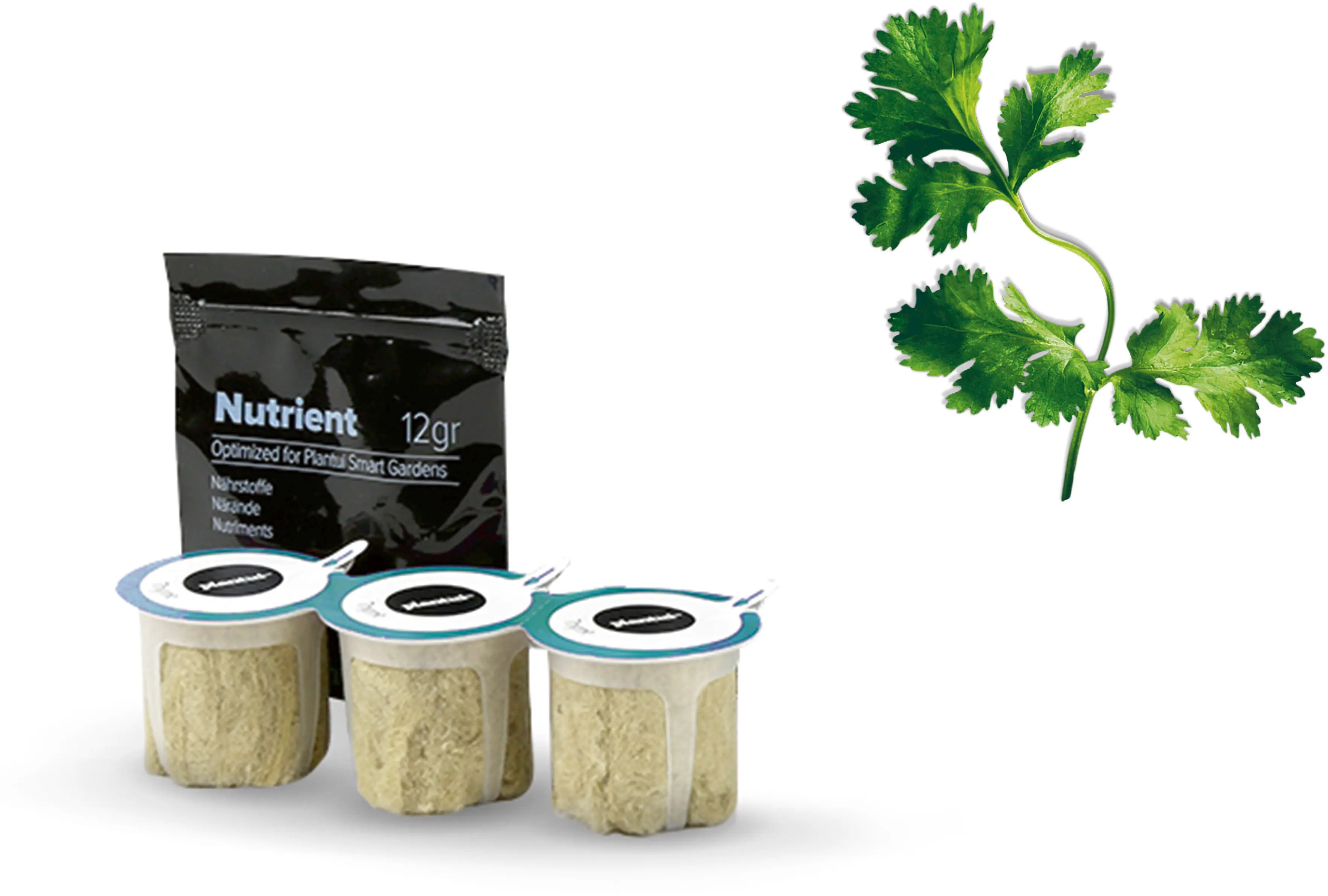 Foto n.º 1 del producto MSGZH006